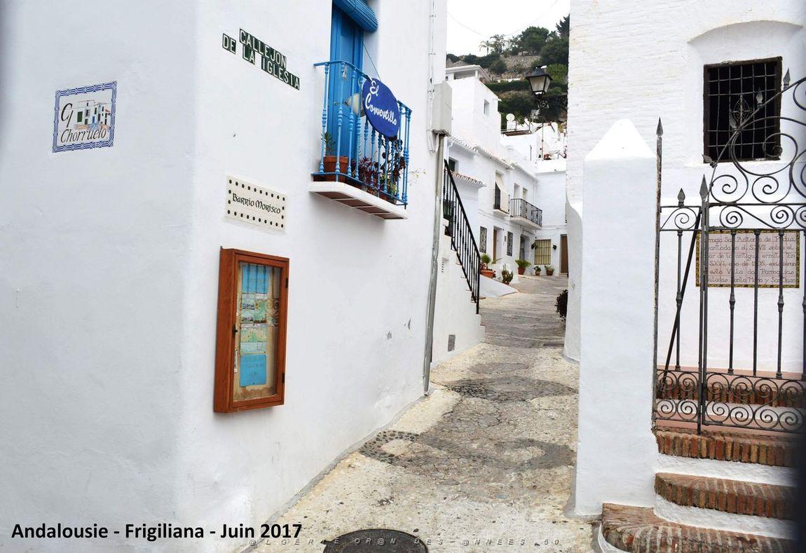 589 - Frigiliana.JPG